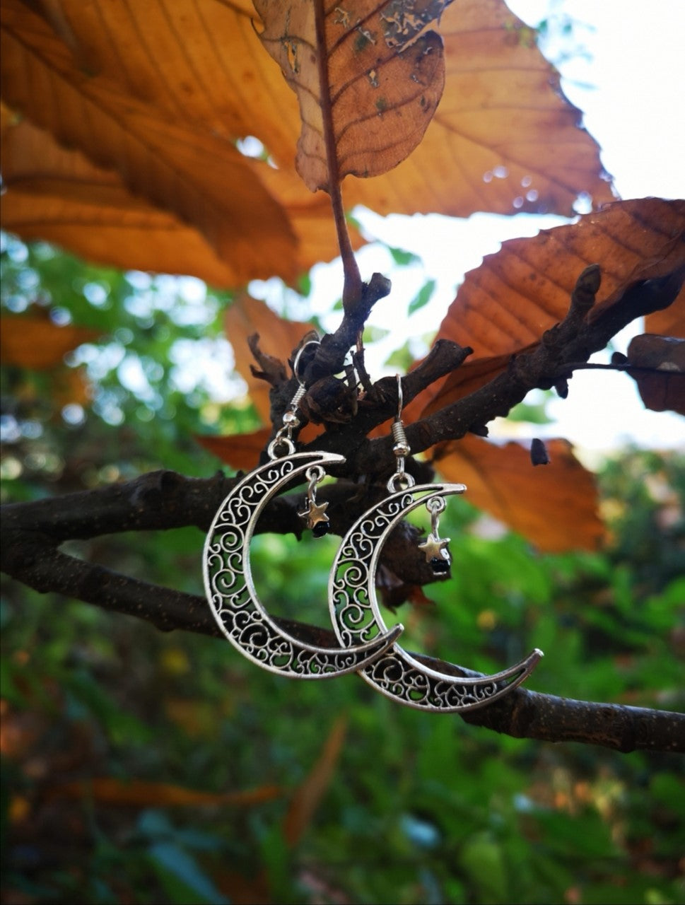 Moon and Star Earrings
